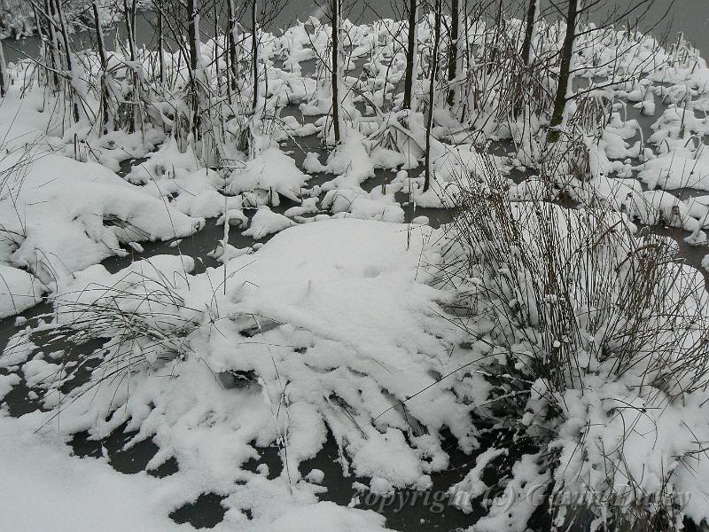 Snow, Blackheath P1070120.JPG